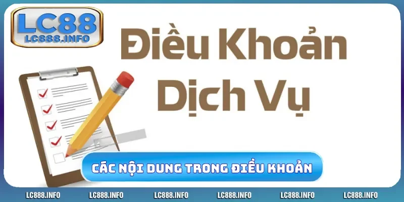 Các nội dung chính trong điều kiện điều khoản