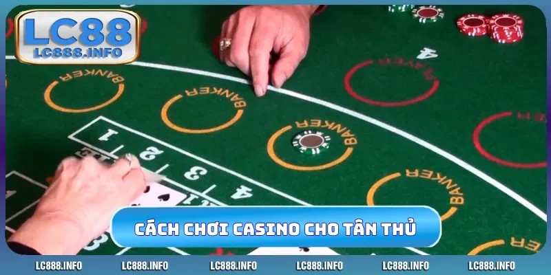 Cách chơi casino luôn thắng cho tân thủ