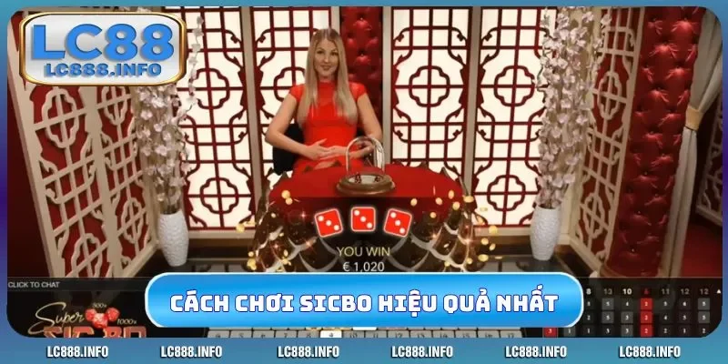 Cách chơi sicbo hiệu quả nhất bằng quy tắc cơ bản