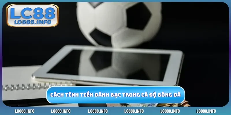 Cách tính tiền đánh bạc trong cá độ bóng đá