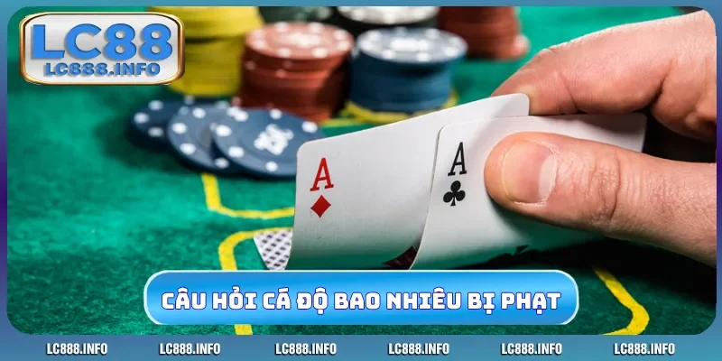 Câu hỏi liên quan đến chơi cá độ bao nhiêu thì bị phạt