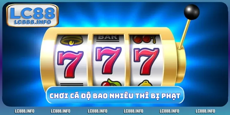 chơi cá độ bao nhiêu thì bị phạt