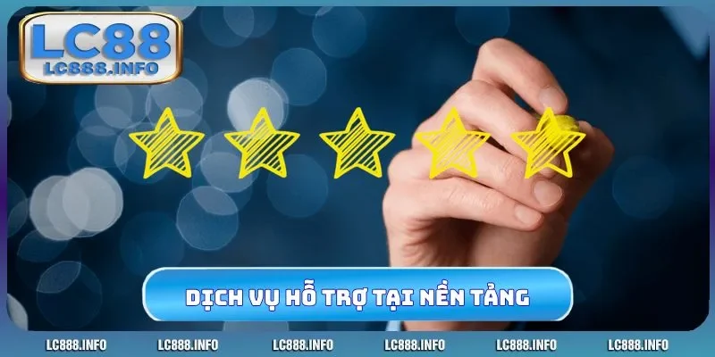 Dịch vụ hỗ trợ đỉnh chóp tại nền tảng