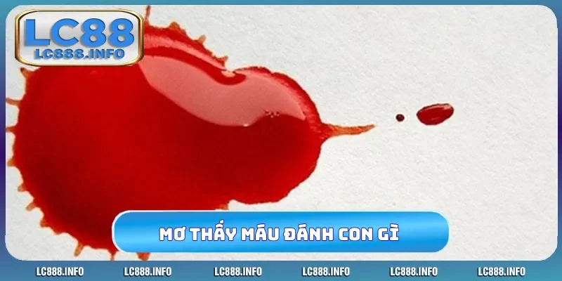 Nằm mơ thấy máu đánh con gì