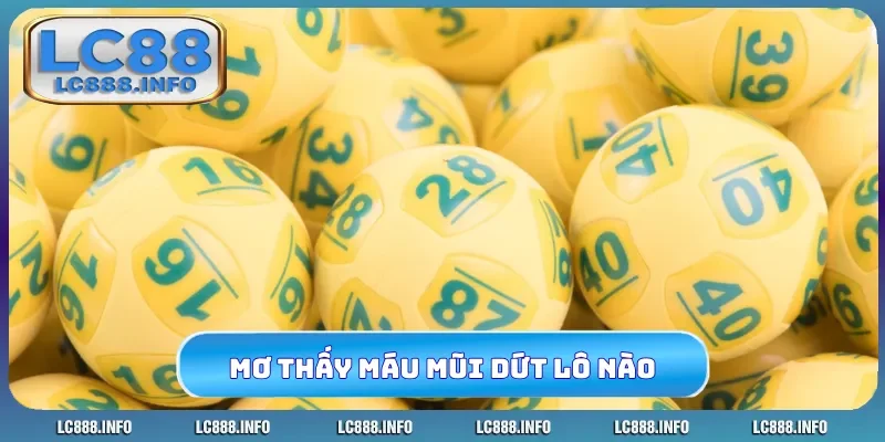 Nằm mơ thấy máu mũi dứt con lô nào