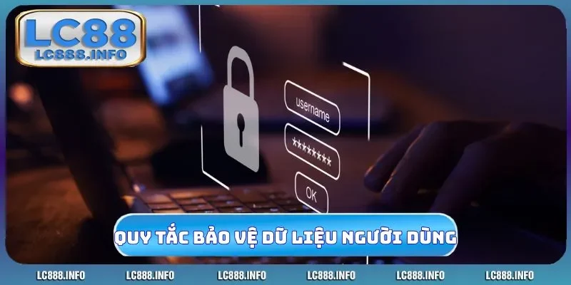 Quy tắc bảo vệ dữ liệu cá nhân người dùng