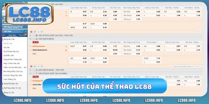 Sức hút đỉnh chóp của thể thao LC88