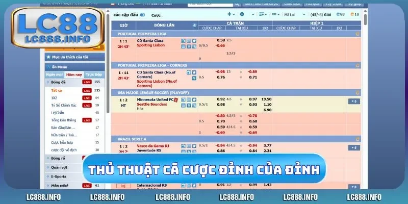 Thủ thuật cá cược đỉnh của đỉnh cho dân cược